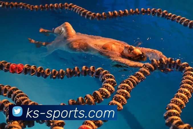 体育下注全站App